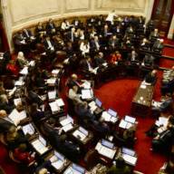 Propiedad privada: Senado tratará proyecto que elimina límites para la compra de tierras por extranjeros