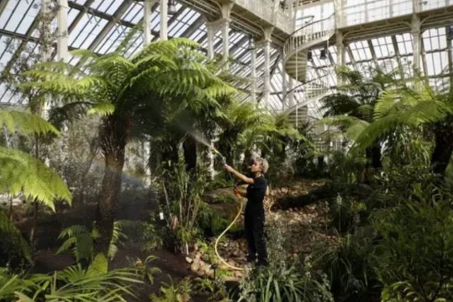 Confirmaron la causa de la extinción masiva más importante del mundo, que fue hace 252 millones de años