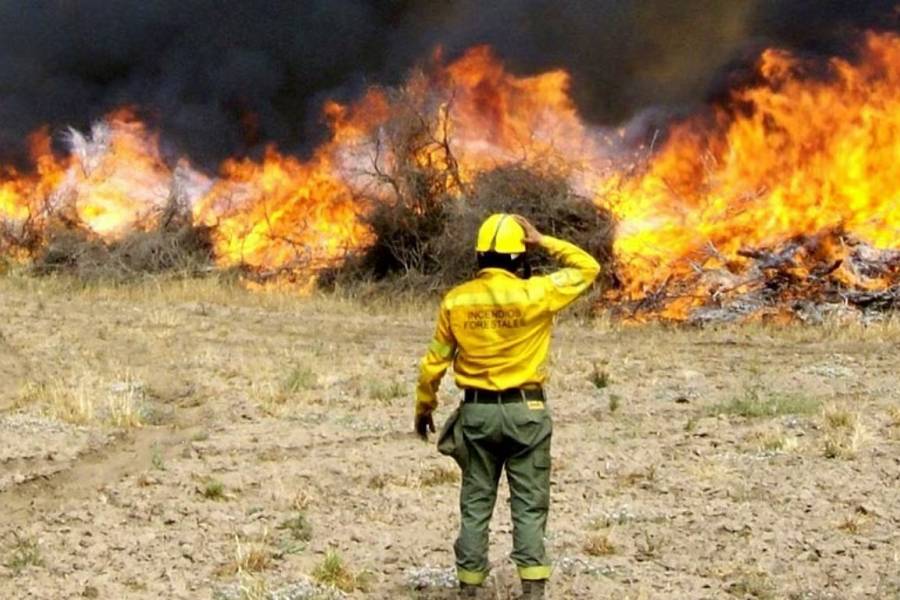 Alerta roja en el Valle Central y el Este: advierten por riesgo de incendios y piden evitar quemas