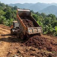 Tiraron 30 camiones de pulpa de café en el sur del país y 2 años después había árboles en el 80% del terreno