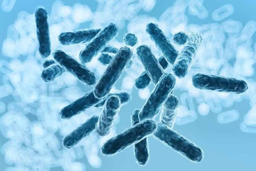 ¿Qué es el Síndrome Urémico Hemolítico?