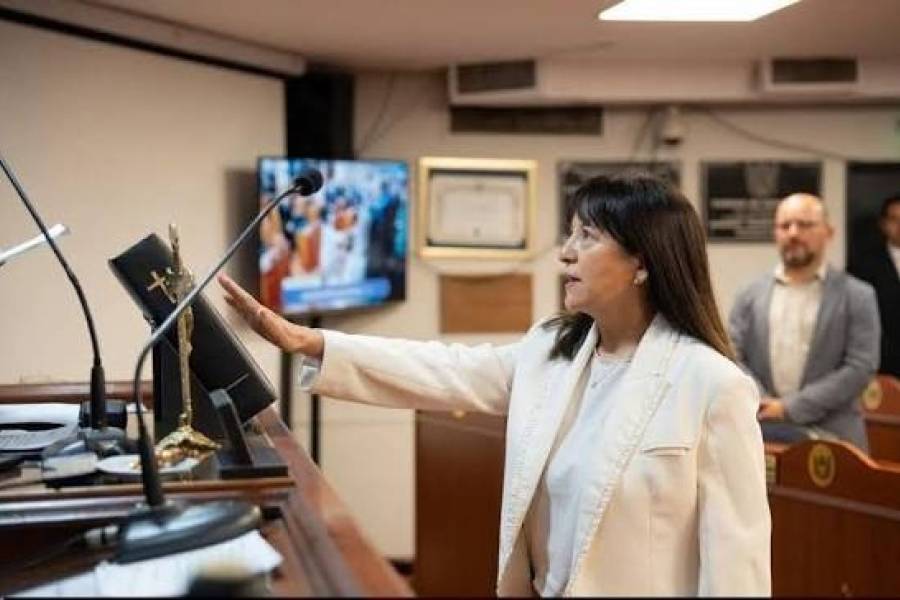 Senadora de Santa María se sumó al reclamo por incrementos en servicio de energía eléctrica