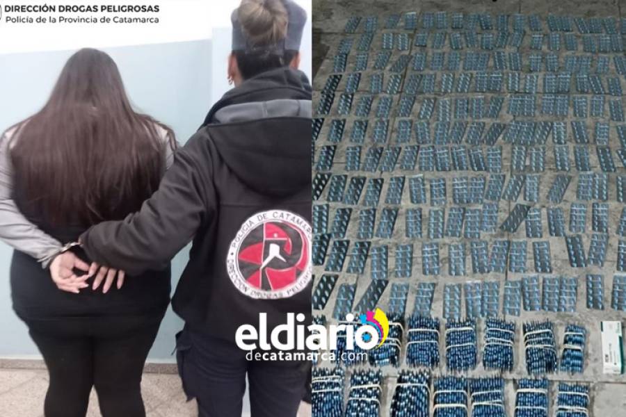 Detienen a una mujer con más de 7.000 ansiolíticos en la terminal de Catamarca