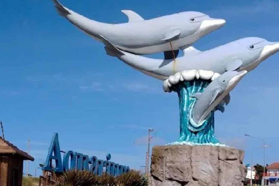 Polémica con Aquarium de Mar del Plata: buscan vender cuatro pingüinos a 40 mil dólares para pagar deudas