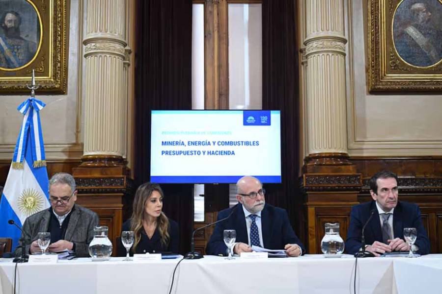 El Senado debate la reforma de biocombustibles: los nuevos obstáculos para LLA