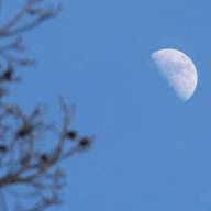 Este sábado tenés que mirar la Luna: la NASA explica por qué