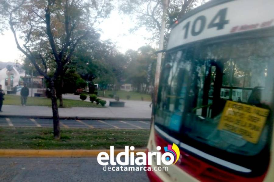 Líneas de colectivo disponibles para dirigirse al Ponchito y la Feria del Libro