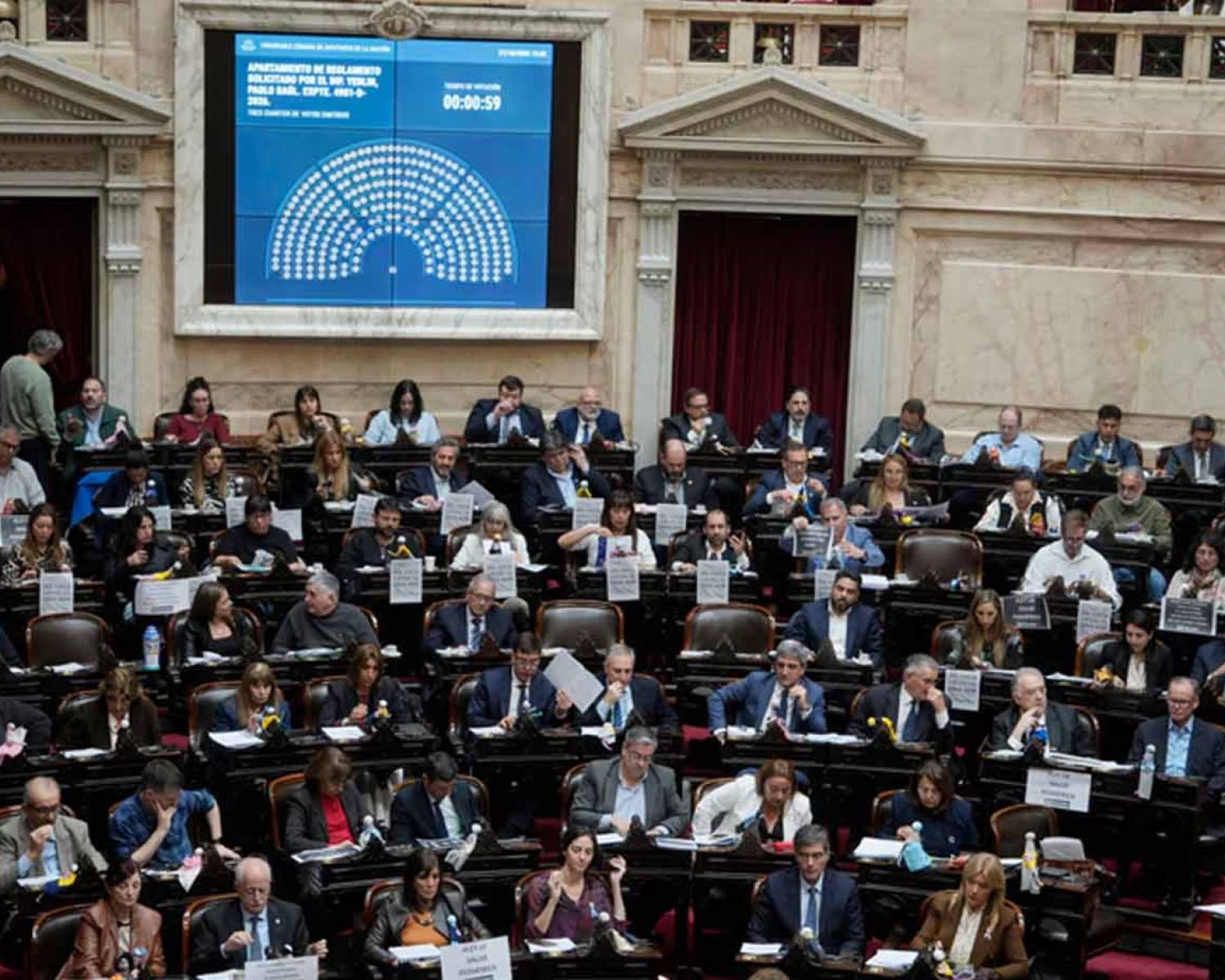 Ley de Discapacidad: el oficialismo logró el apoyo de UxP y se aprobó el proyecto con una mayoría abrumadora