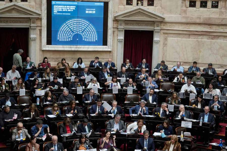 Ley de Discapacidad: el oficialismo logró el apoyo de UxP y se aprobó el proyecto con una mayoría abrumadora