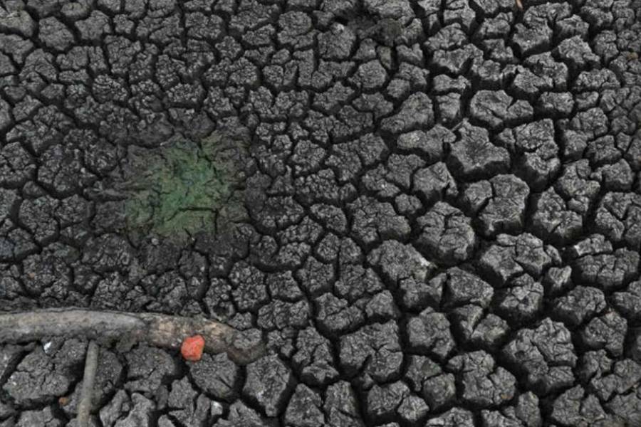 El Niño golpea con sequía a seis departamentos de Bolivia